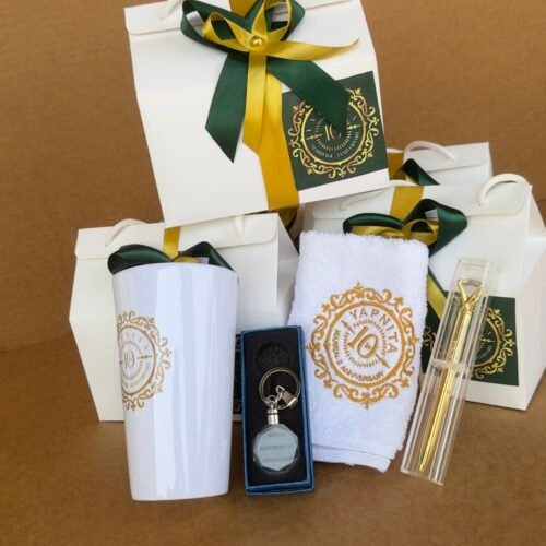 ANV Package (customized and packaged)