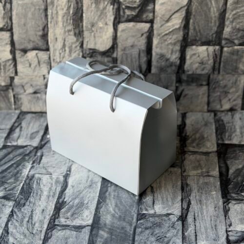 Silver bag (20x11x15)